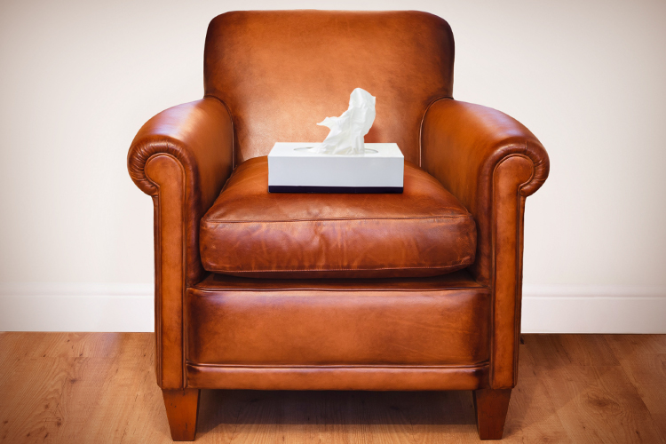 chair_tissue